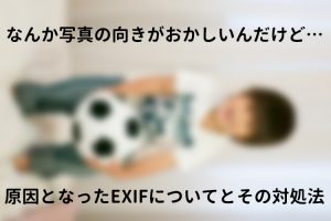 あなたの人生に全く役に立たない ネタ対義語をしっているか ライフボックス